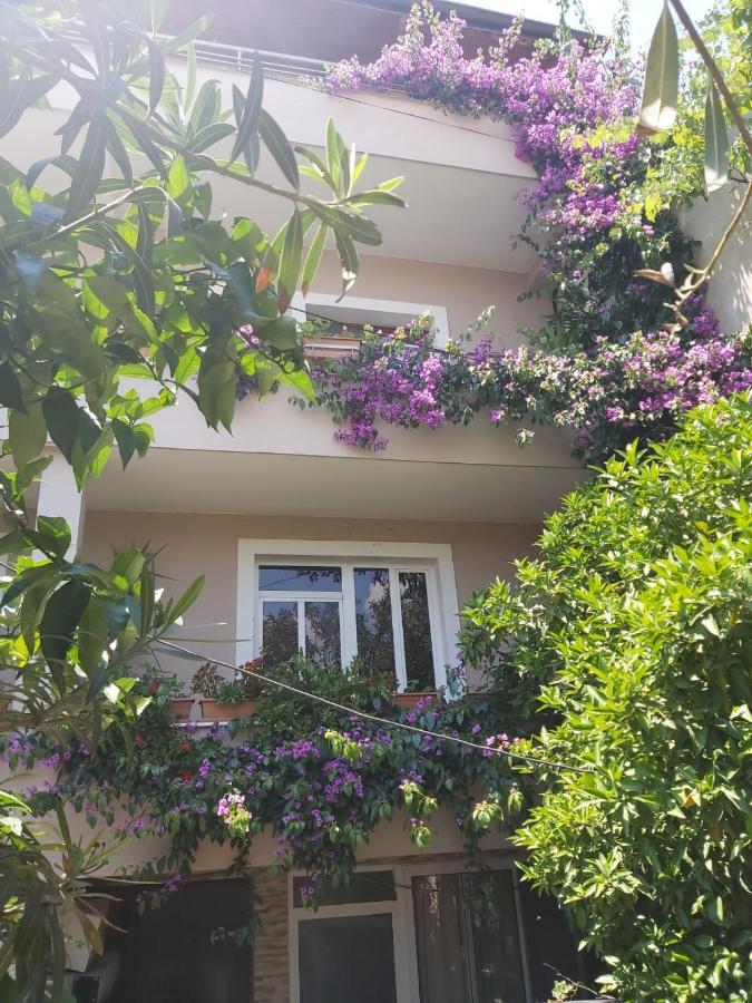Flowers Guesthouse Tirana Extérieur photo